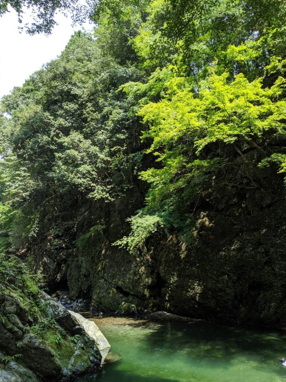 川遊びのオススメ 東京 あまきょうこ Note