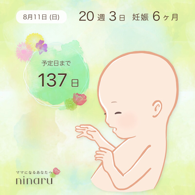 前期破水で入院 27日目 w3d Okaikeishite Note