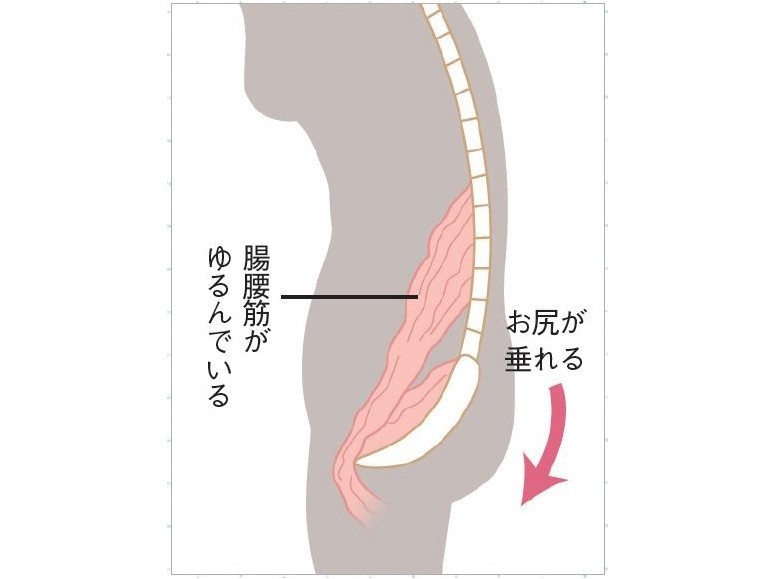 日本人と欧米人の骨格の違い かめじゅん Note