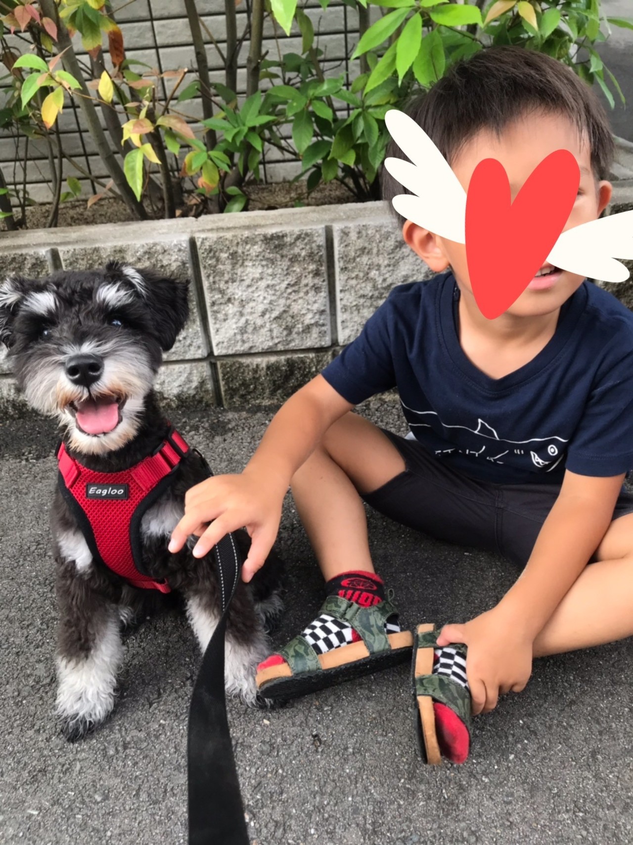 子犬と子供を一緒に育てるメリットとデメリット2 ゆりり Note