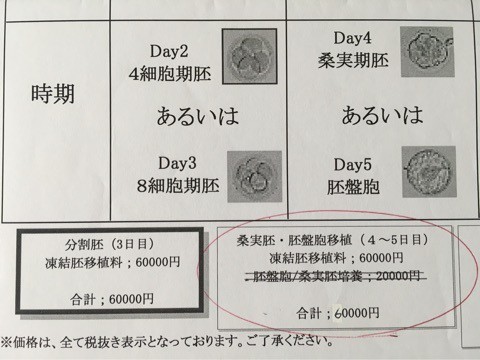 出産予定日 胚盤胞