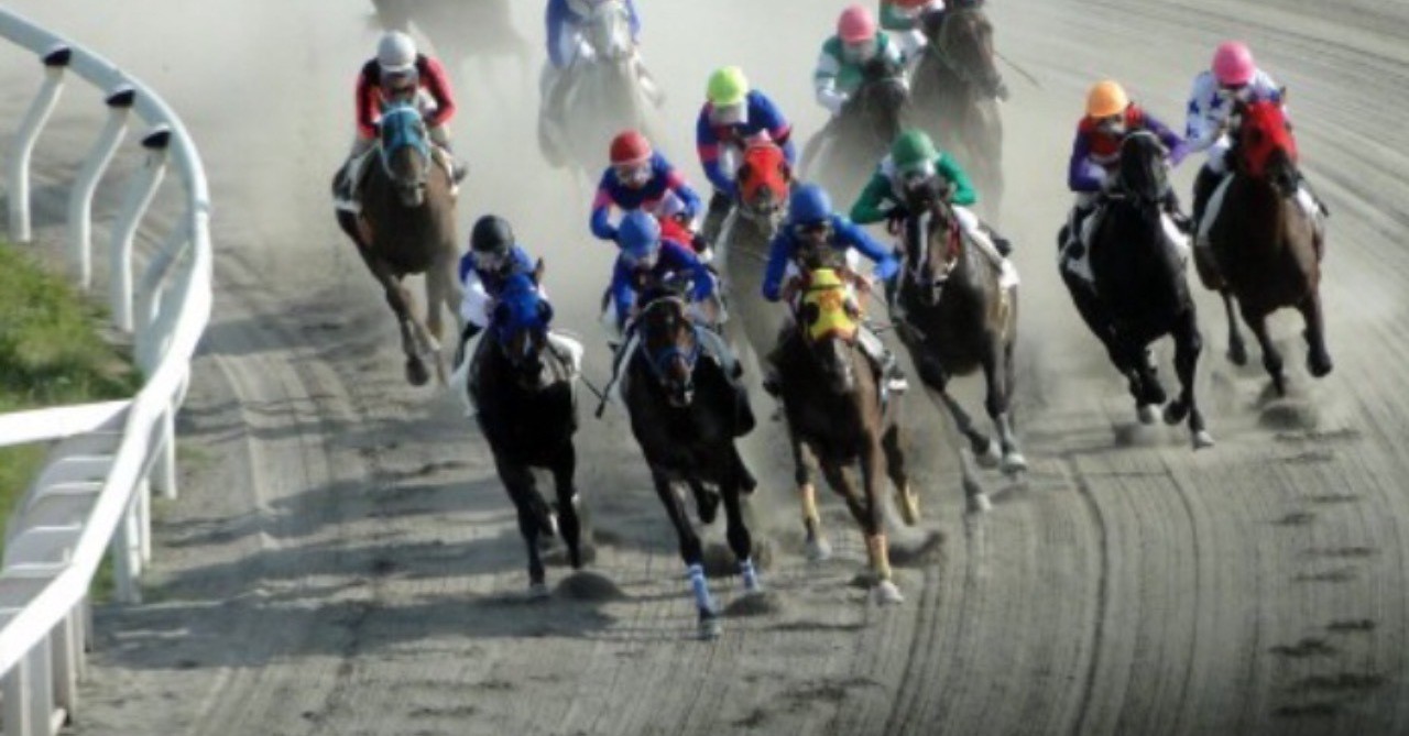 園田競馬 予想配信 園田競馬予想 カルアの穴激走 Note