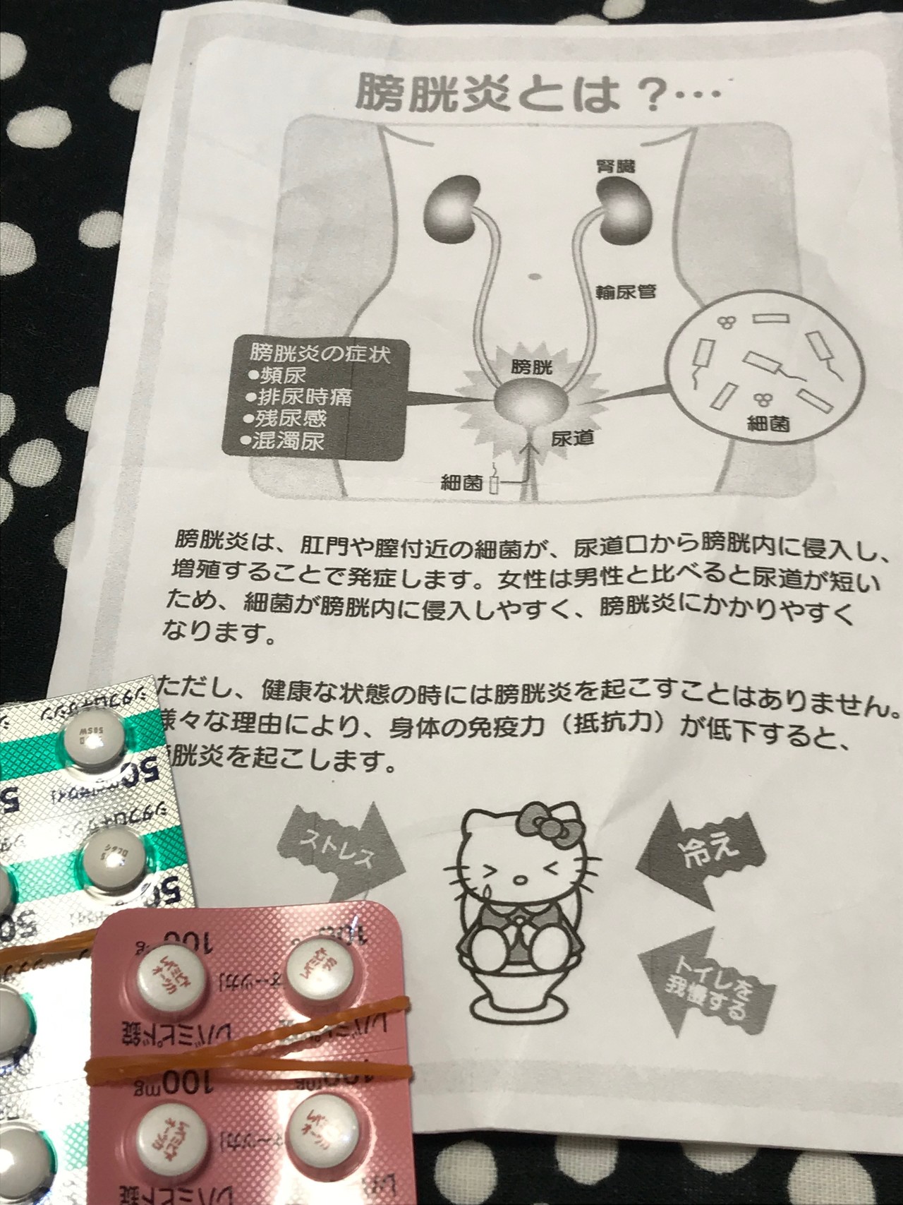 膀胱炎と身体のデトックス タニミズルイ Note