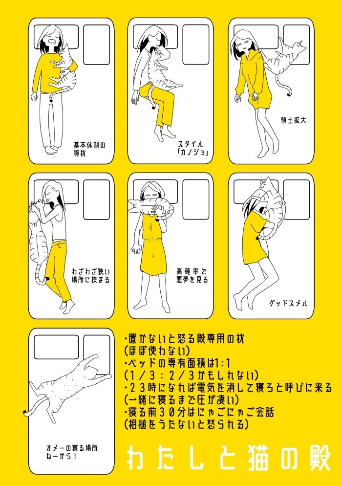 アニメ画像について 50 素晴らしい猫 腕枕 イラスト