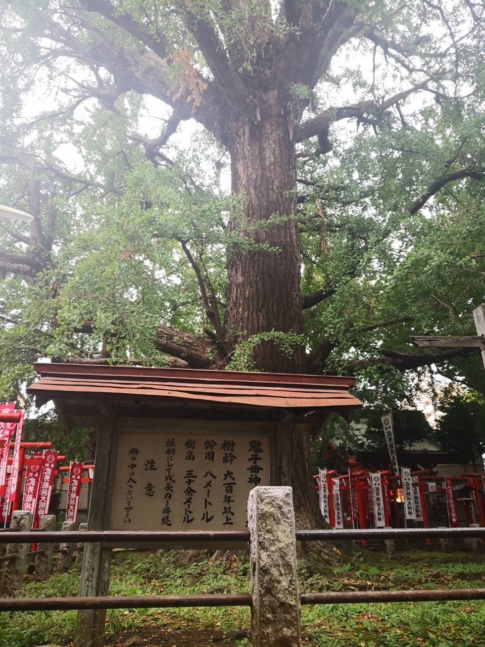 有名子宝神社もご紹介 東京神社巡り紀行 みくまゆたん Note