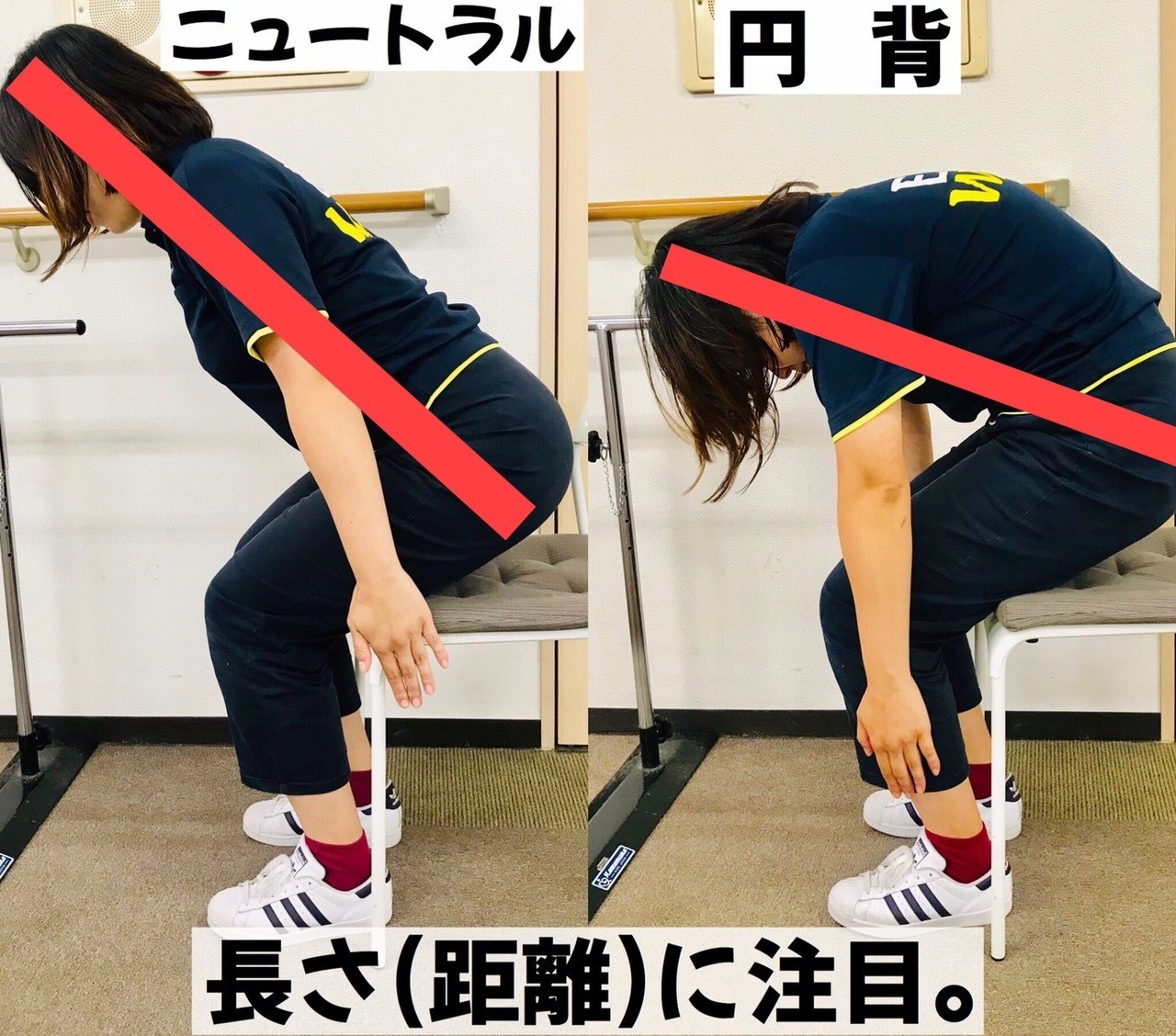 円背高齢者 リハビリ, 運動療法により高齢者の円背姿勢は改善するか – KZEOL
