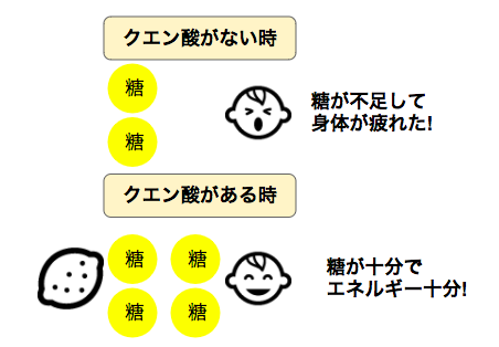 疲れた時には甘い食べ物ではなく 酸っぱい食べ物がオススメ ダイエットの読みもの Note