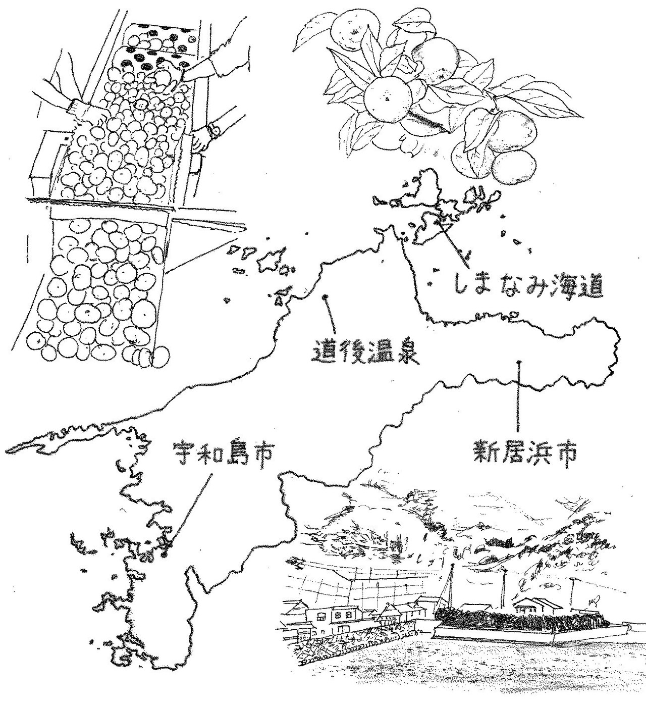 ルポ 地方は消滅しない 愛媛県宇和島市吉田町 文藝春秋digital