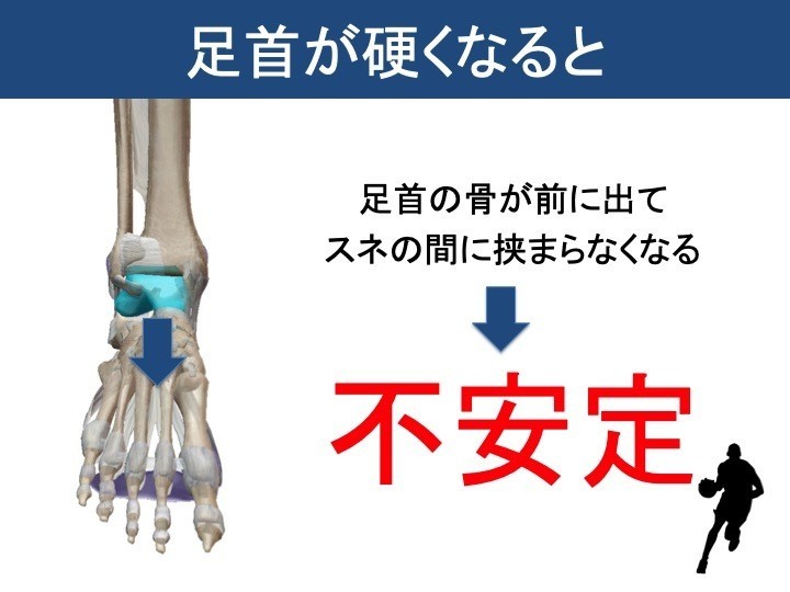 距骨 足首 足関節捻挫 距骨のズレ ハイパーモビリティ Acro アクロ 整骨院 品川区中延の運動機能 疲労 歪みにこだわったスポーツ選手に人気の整体院です