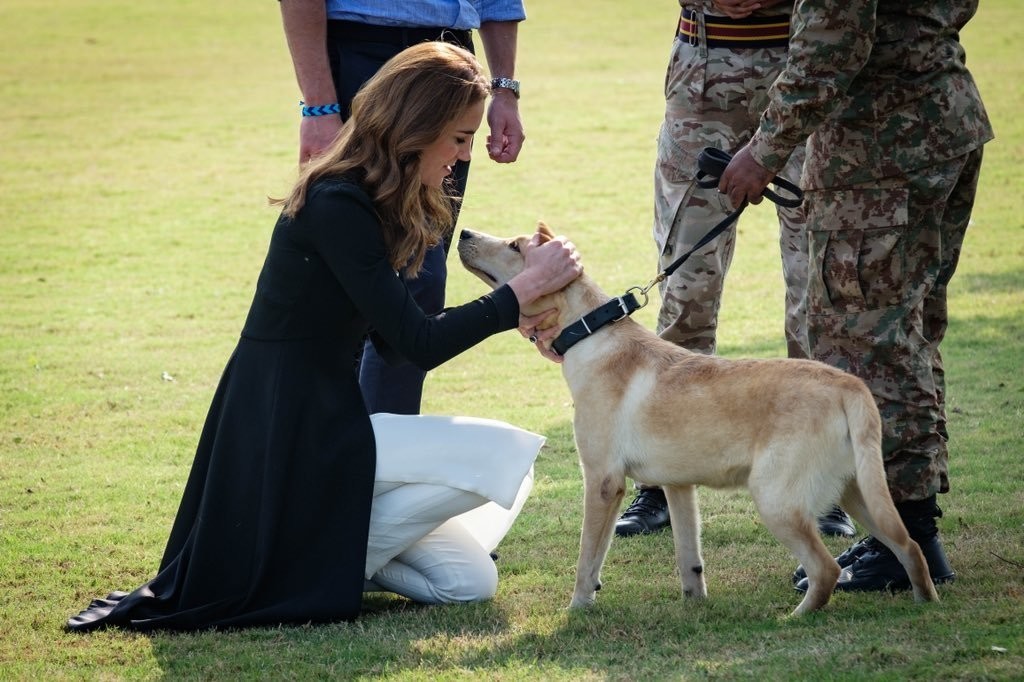 子犬と戯れるキャサリン妃 ウィリアム王子パキスタンツアー 最終日 その2 呉羽パオ Note