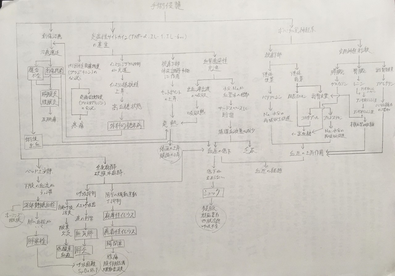 術 後 イレウス 看護 計画