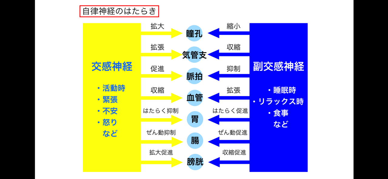 白髪を減らしたければ自律神経を整える 小熊滋 Note