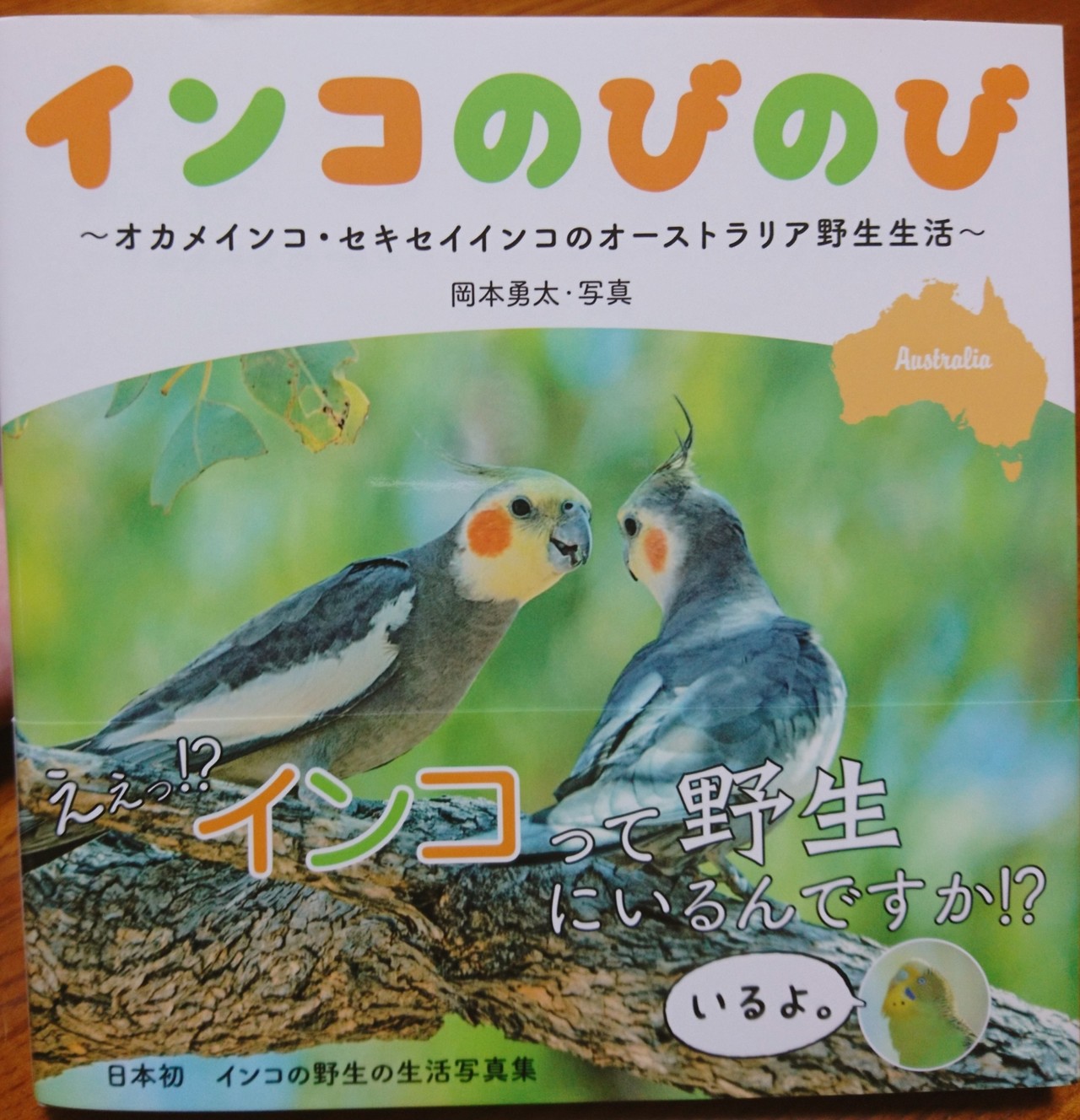 インコのびのび おすすめ本 Watari Miki Note