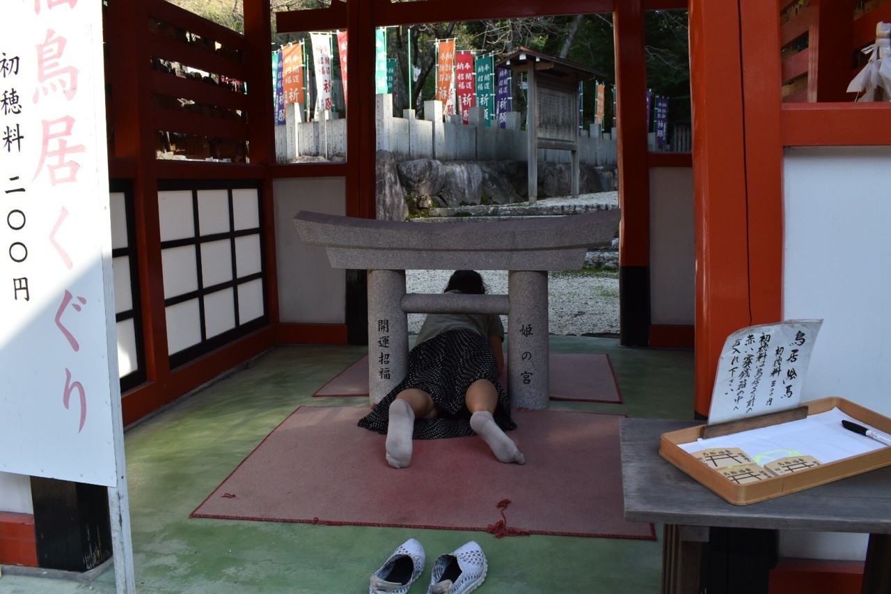 目のやり場に困る 愛知の珍スポット おっぱい ちん ま 神社をご紹介 みくまゆたん Note