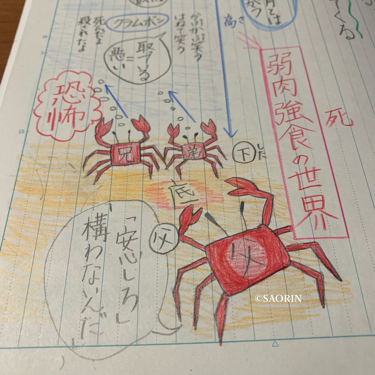 娘 小学6年生 国語のノートに癒される 宮沢賢治 やまなし 授業中
