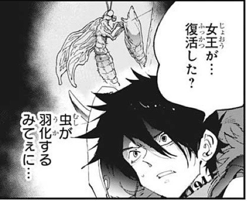 約束のネバーランド第156話 約ネバ通信vol 56 Maesaqu Note