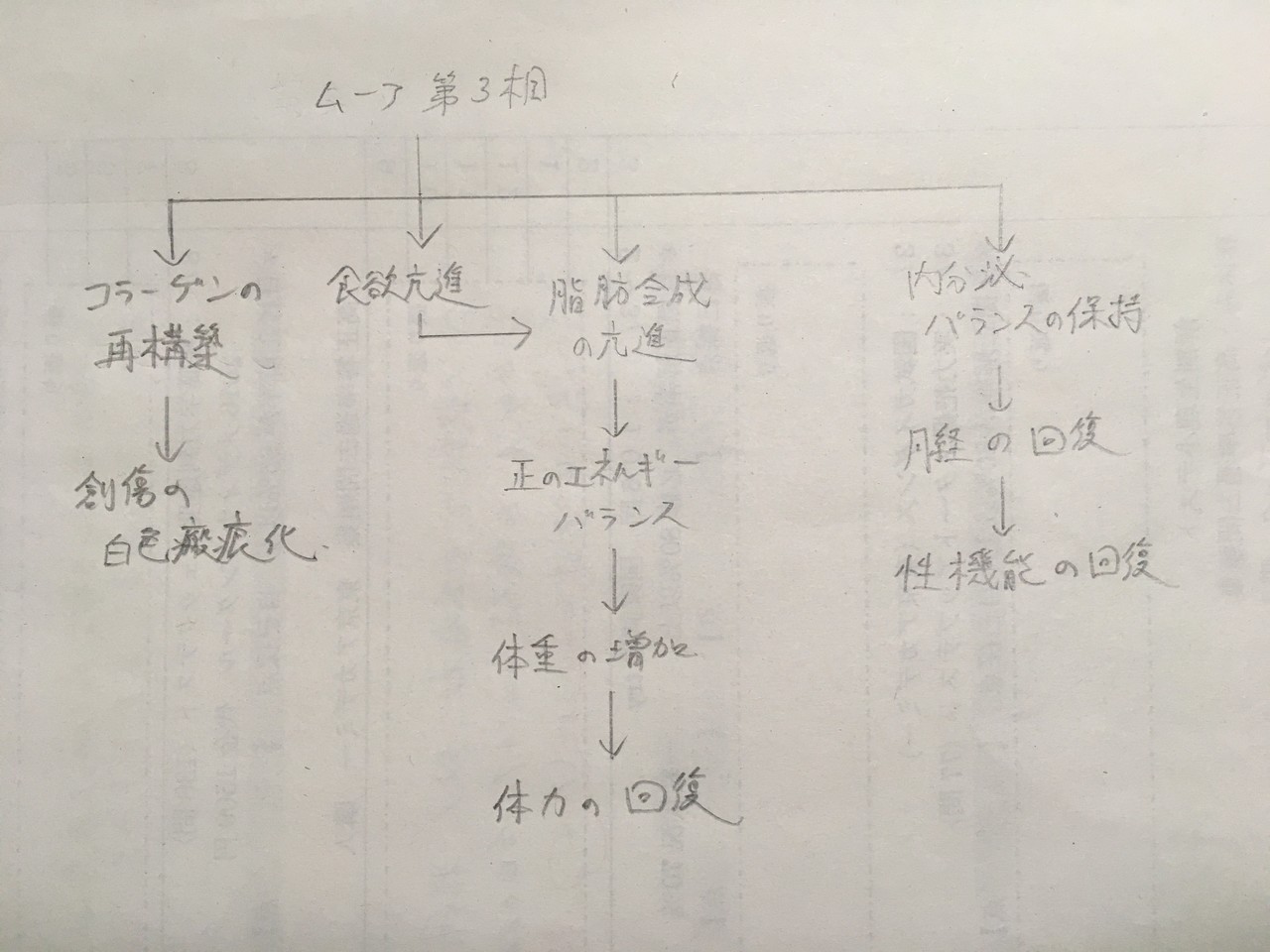 看護を中心に医療・保健 ... - 2 手術とは sample