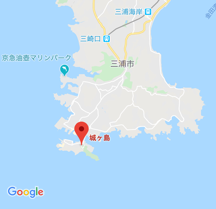 城ヶ島 三崎港 神奈川 渡り鳥の初心 Grapher Note