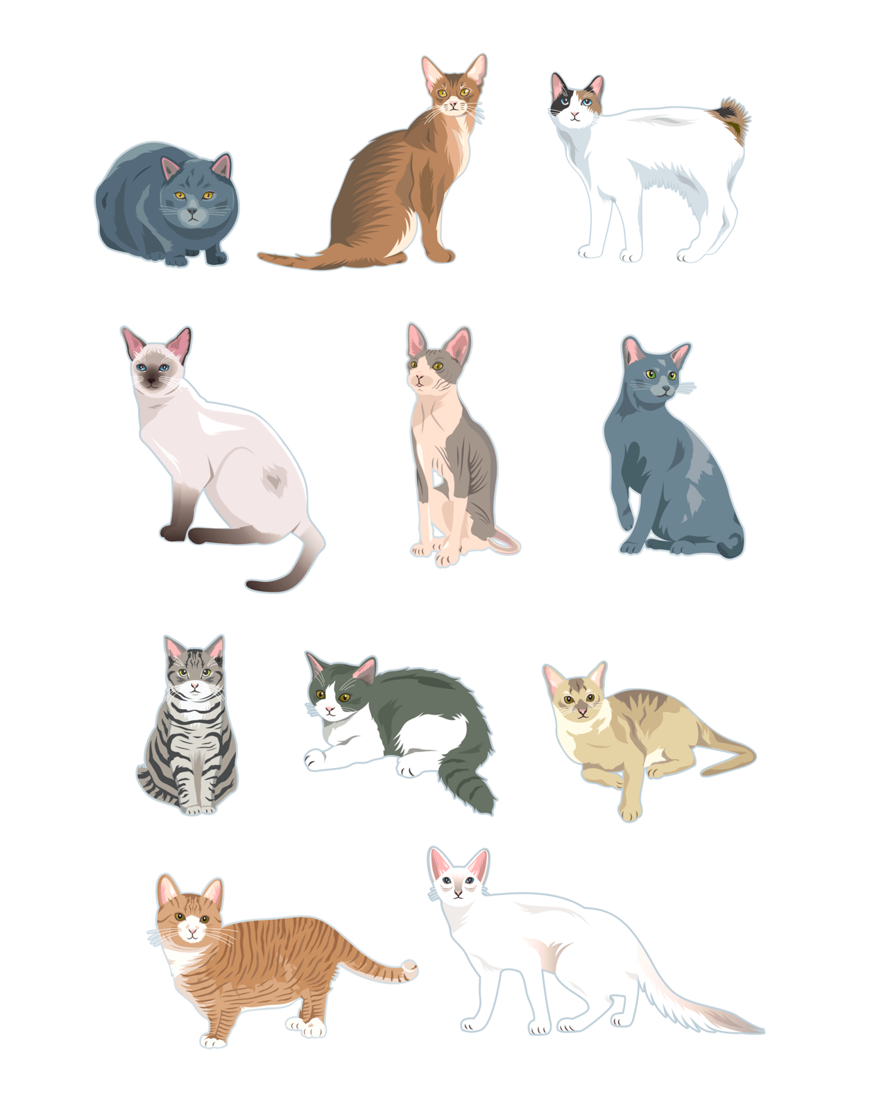 作品を更新しました 角川マガジンズ わんにゃんwalker 中面カット Foriio Com Works 250 リアルテイストの 猫を描かせていただきました この原稿の時 インフ Akaricream イラストとまんが Note