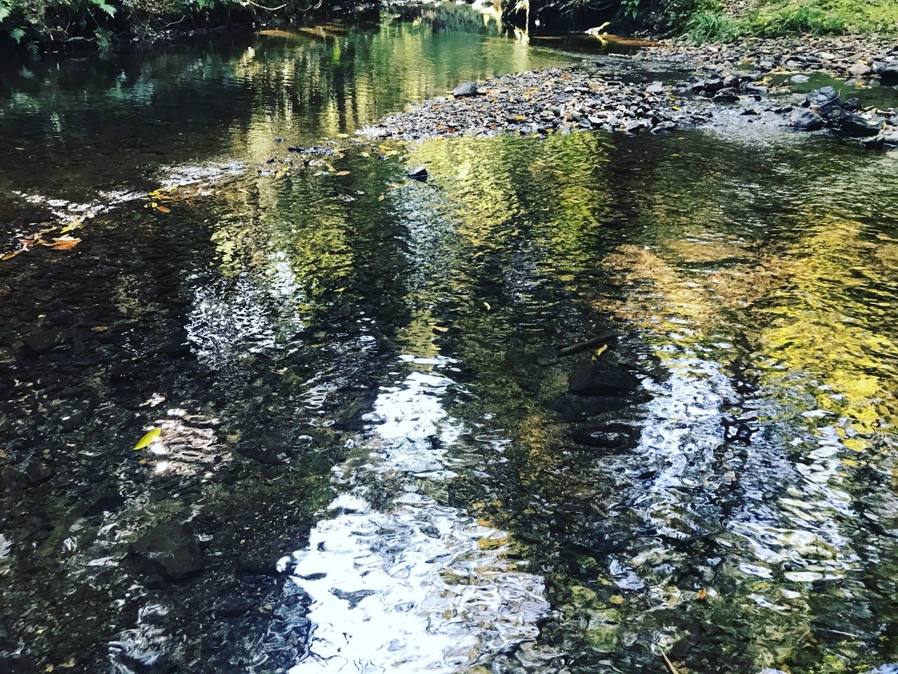 ランニング日誌 19 11 9 木嶋神社 仁和寺 原谷 鷹峯 北野天満宮 御土居 紙屋川沿い 木嶋神社 佐原 誠 Note