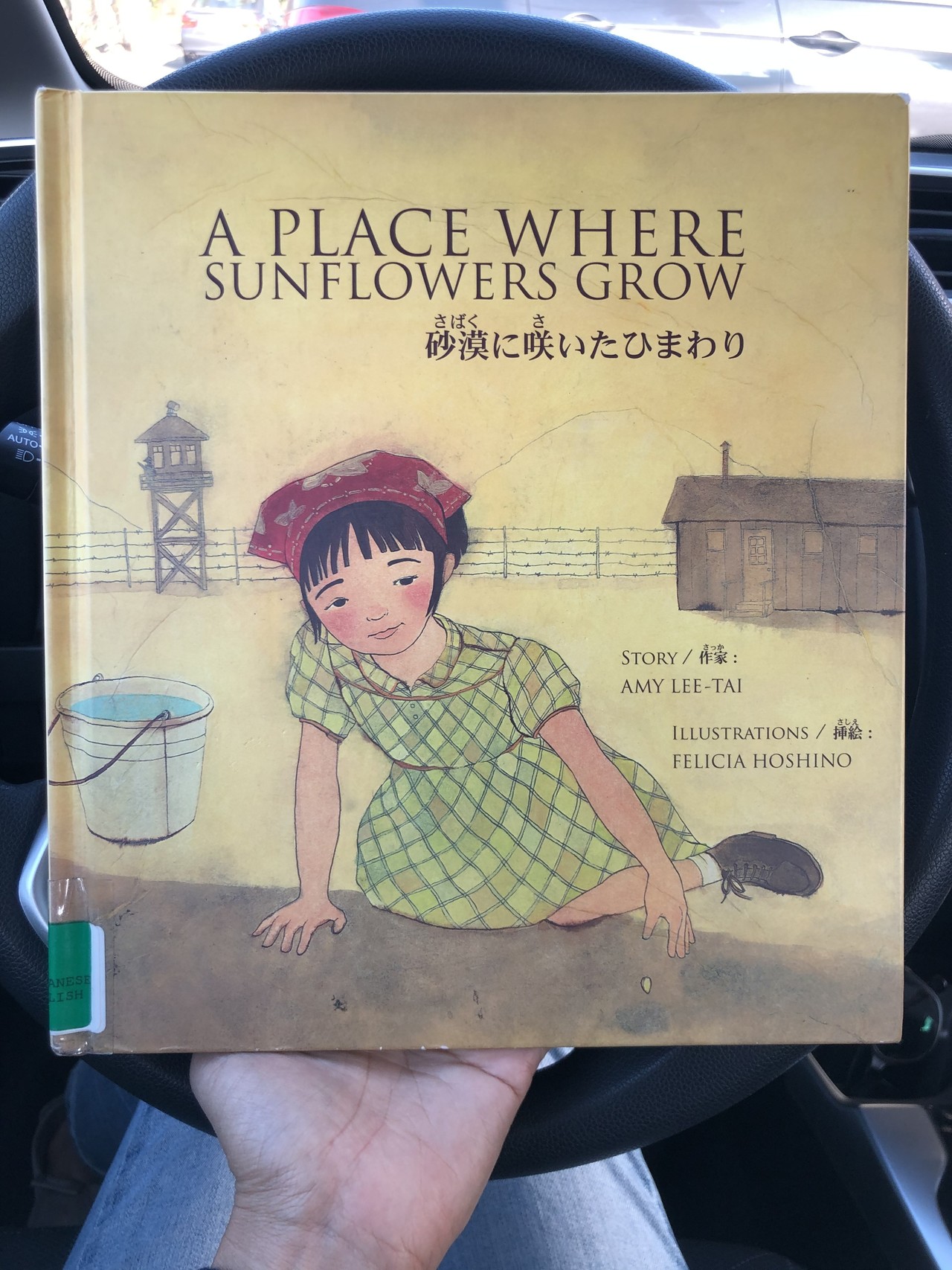 砂漠に咲いたひまわり の新着タグ記事一覧 Note つくる つながる とどける
