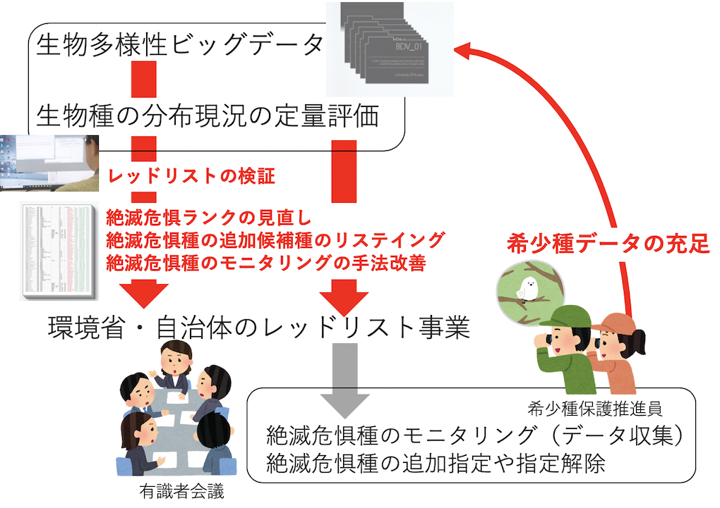 レッドデータブック 生物多様性ビッグデータで希少種の保全施策を検証する 久保田康裕 琉球大学理学部 久保田研究室 シンクネイチャー Note