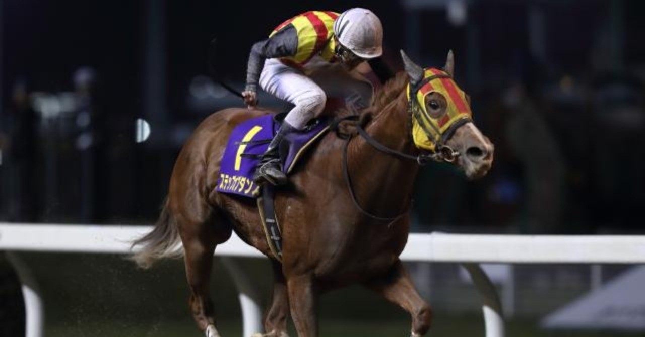 11 20 水 川崎11r ロジータ記念 S 予想 Sham 競馬予想 Note