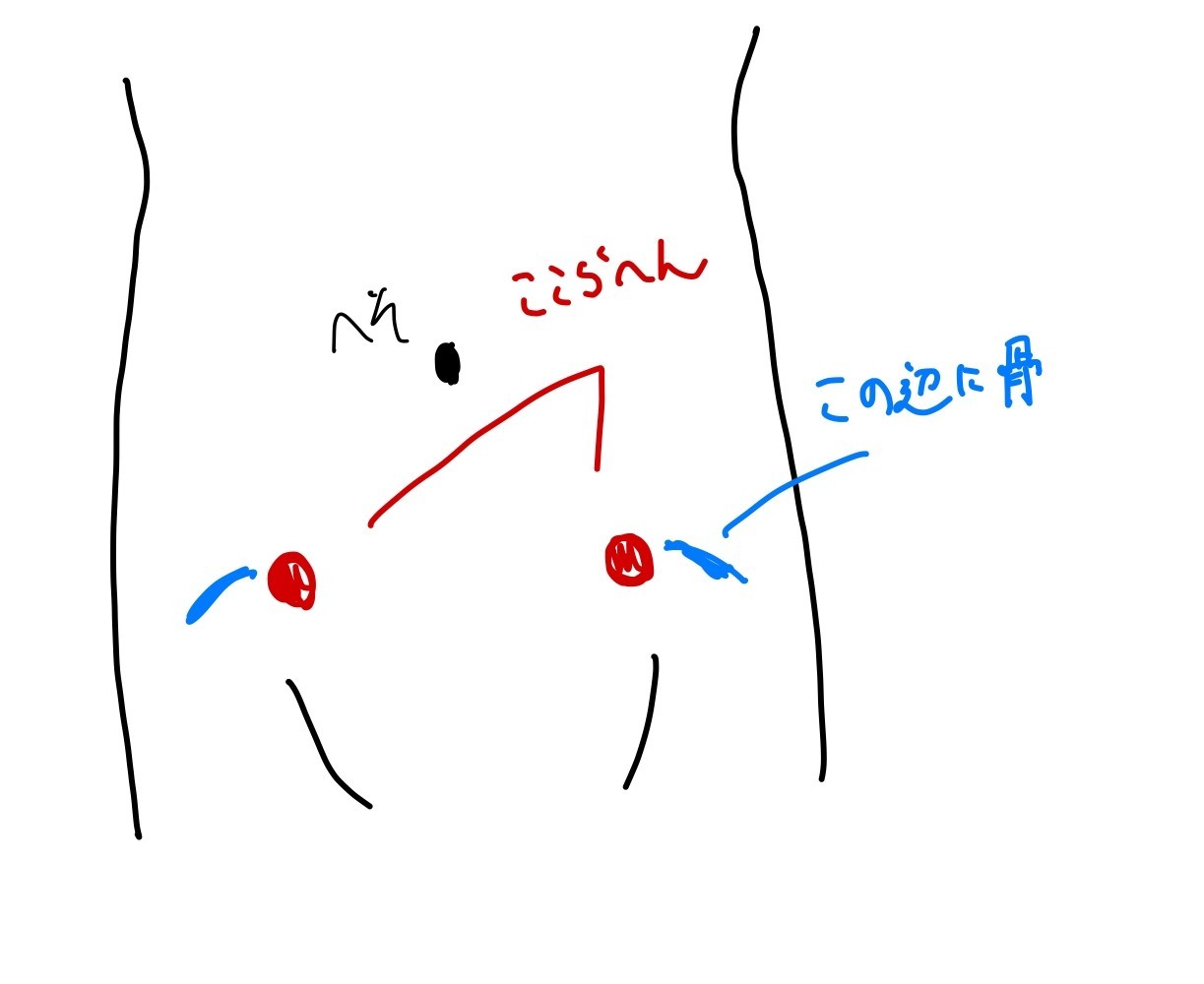 腰痛とか手のツボの小話 Dasih Note