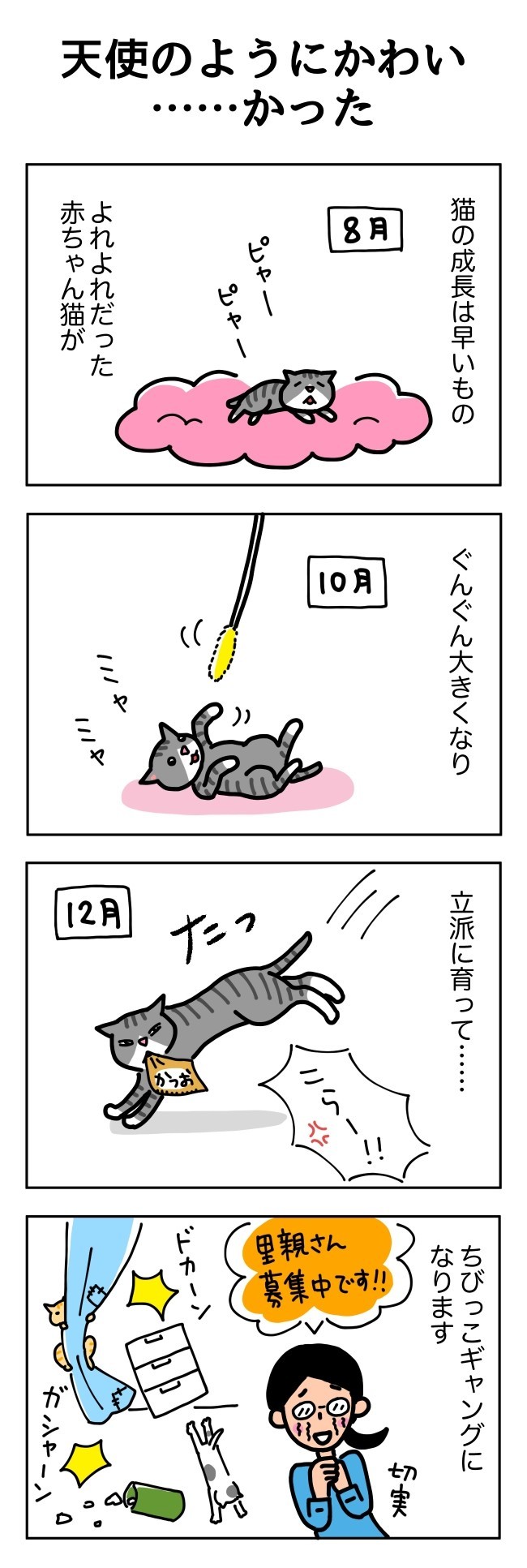 累計１０００匹以上を保護し、里親縁組率９９．９％を誇るむーちょさんの保健室。子猫のうちから一緒に可愛い思い出を作ってくれるパパママを見つけるため、初めての譲渡会を開催します。詳細はブログにて。https://ameblo.jp/gato-mucho/entry-12551085939.html