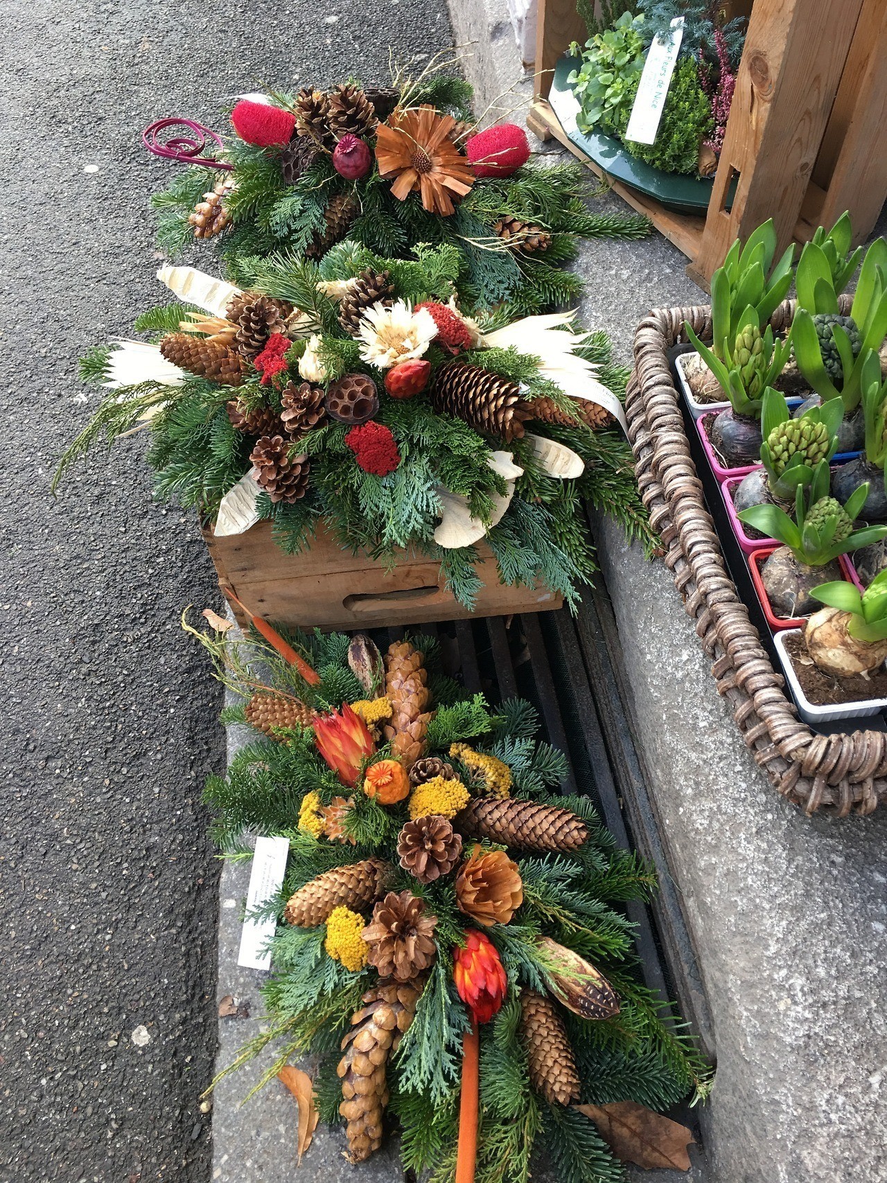 フランスの冬と花 Aoyama Flower Market Paris Report Note