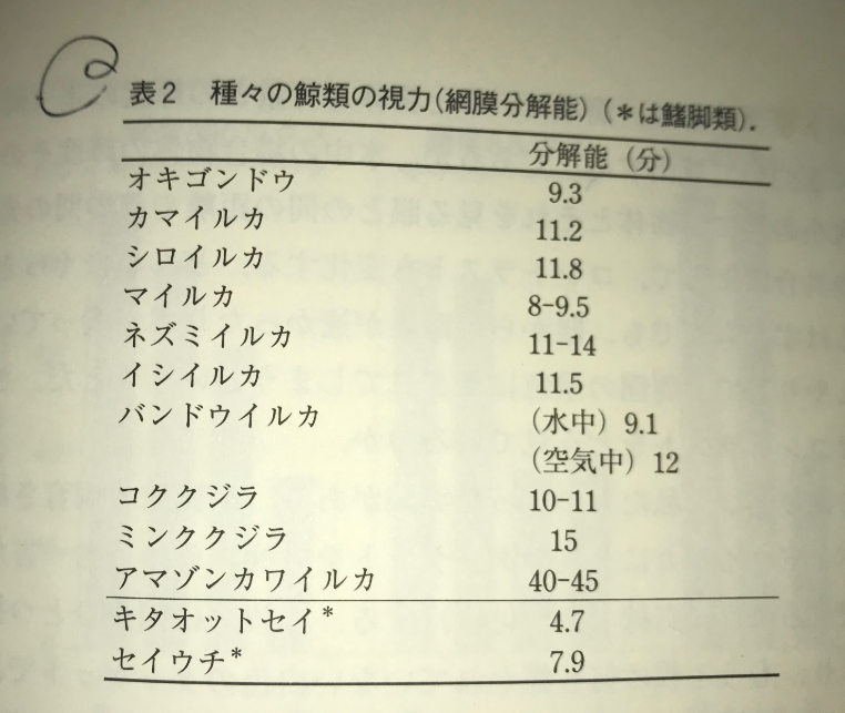 イルカ クジラ学 まとめ Mr Sayonara Note