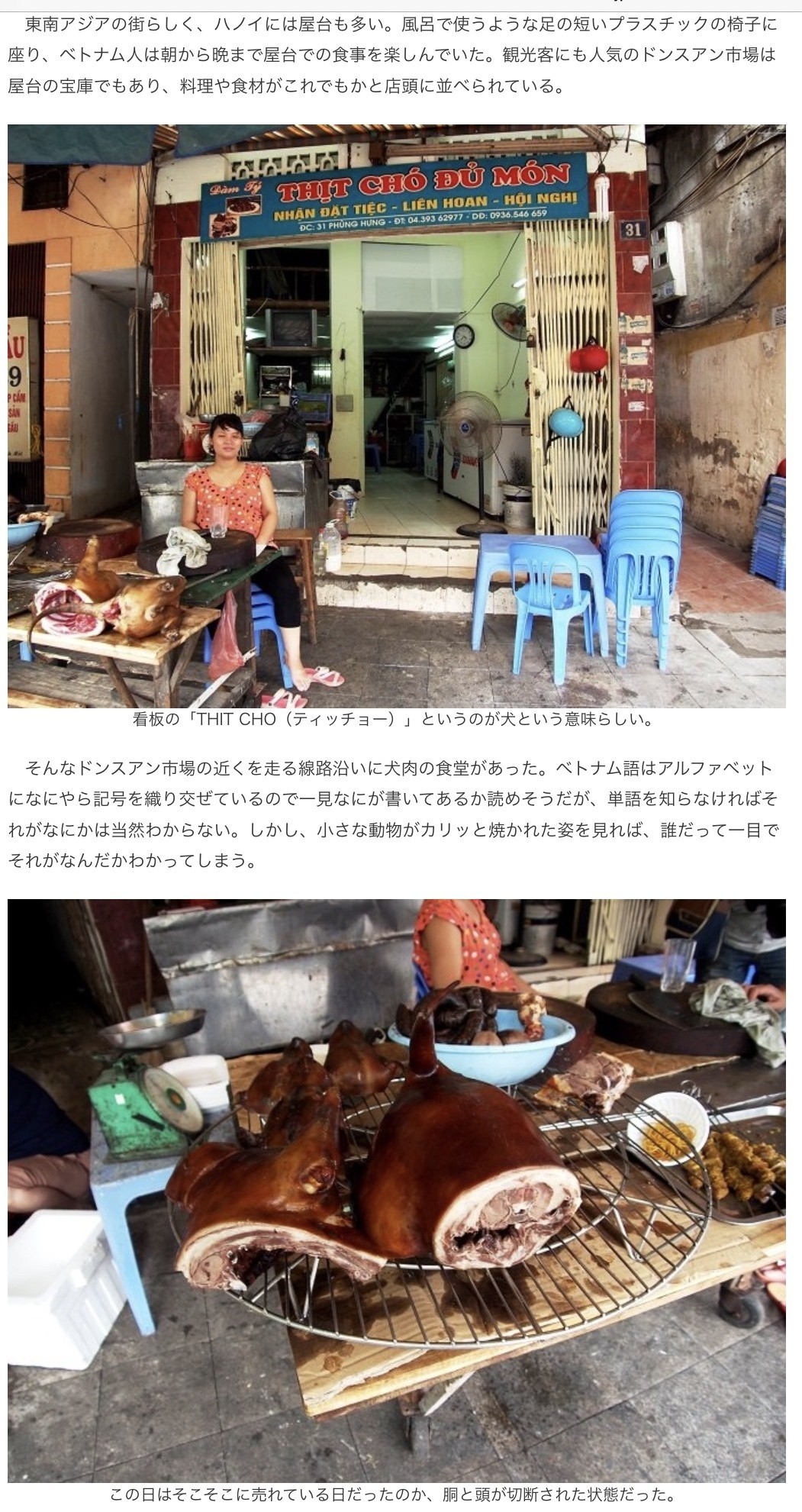 東京 犬肉料理を止めて Tokyo Exclude Dog Meat 濡れてるノート紹介abef年賀状ってそろそろ 宮咲アンナ Note