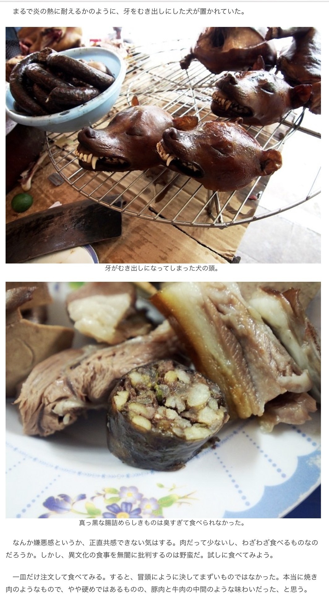 東京 犬肉料理を止めて Tokyo Exclude Dog Meat 濡れてるノート紹介abef年賀状ってそろそろ 宮咲アンナ Note