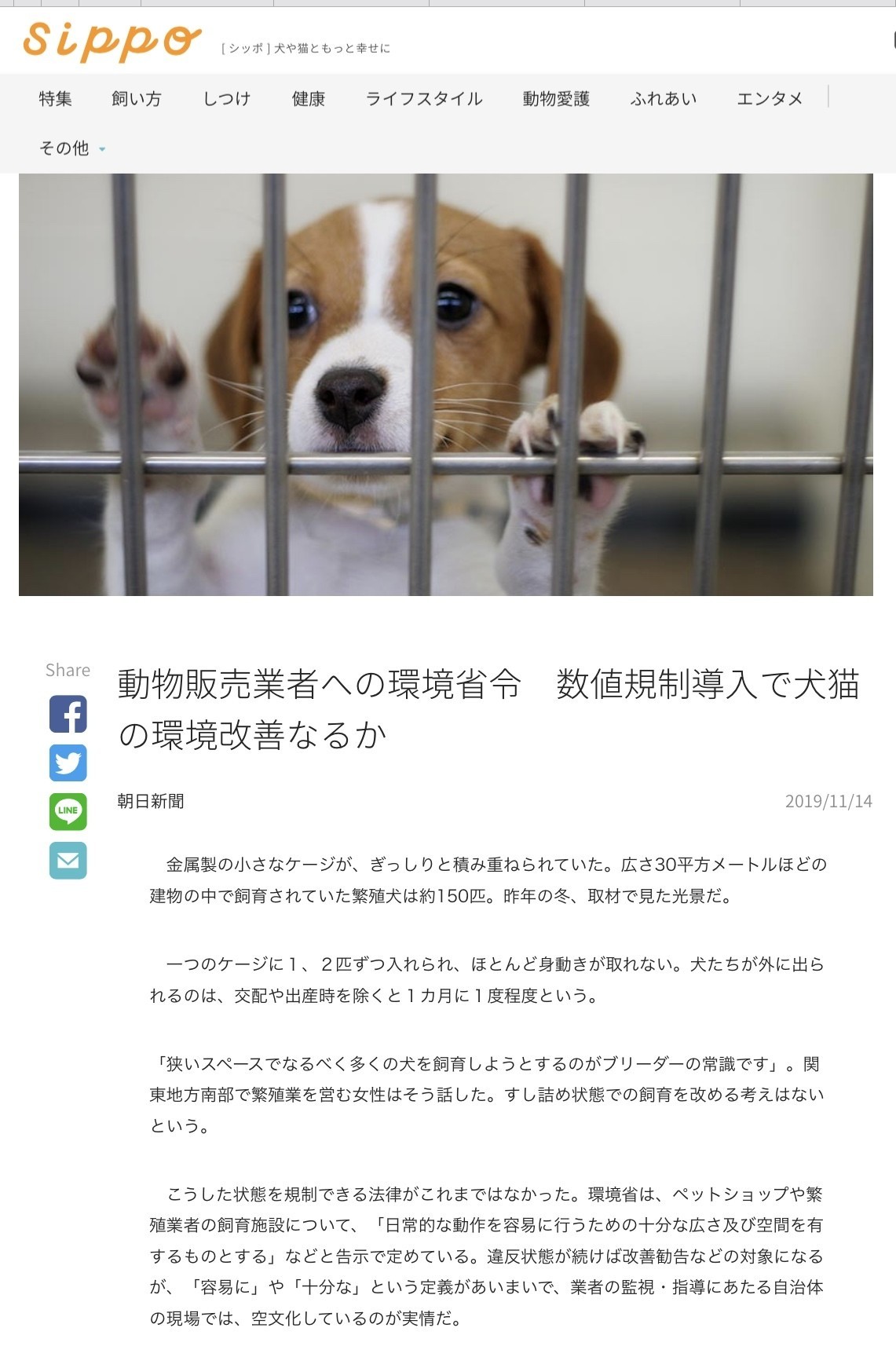 規制 と は 数値