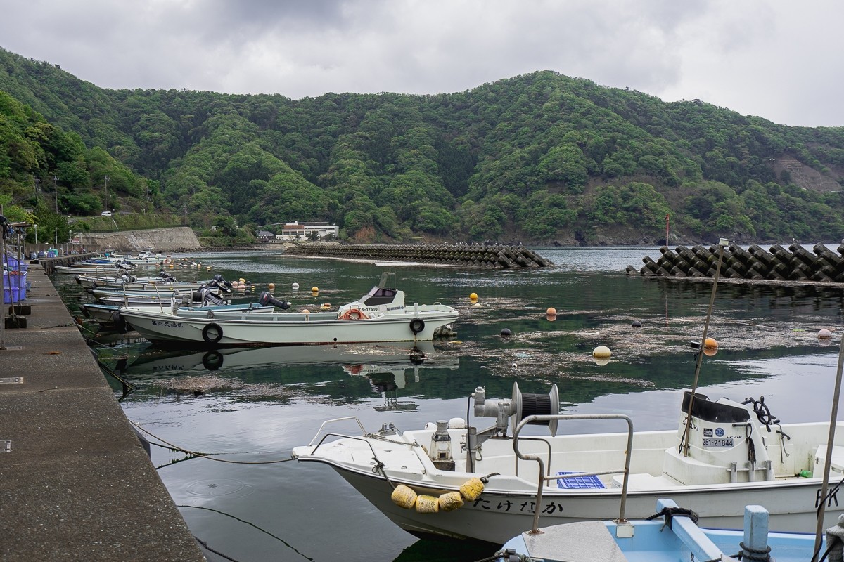 魚を死ぬほど食べたければやっぱり海辺の民宿でしょ という結論 ぜい