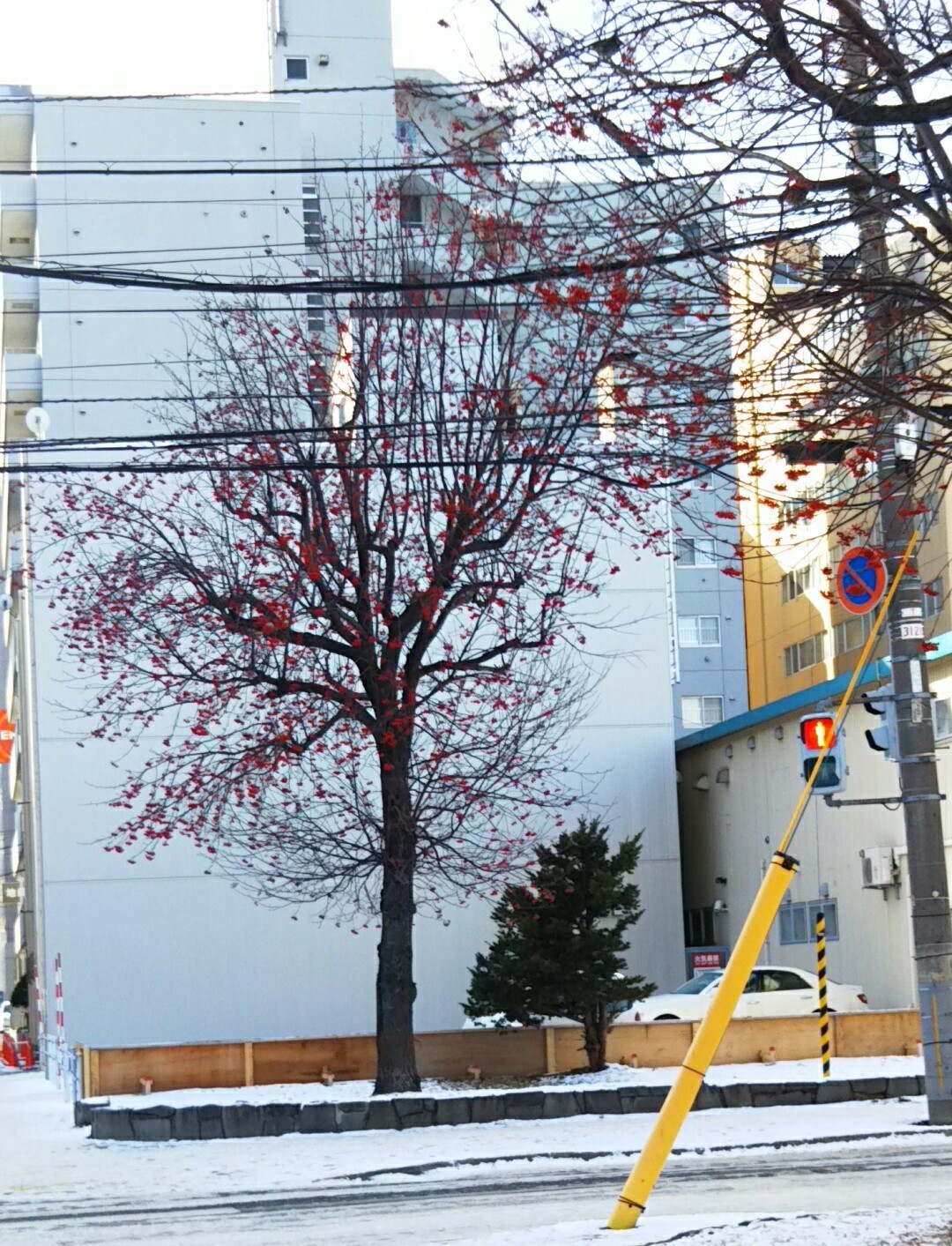 世はクリスマスでも私は通院 吸血鬼ハンター D Mad 他動画有 友里 世はクリスマスでも私は通院 吸血鬼ハンター D Mad 他動画有 友里