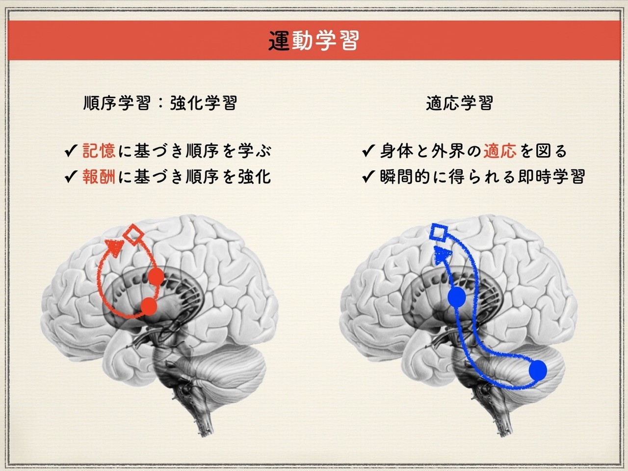 運動学習と姿勢制御_4893文字｜MoritakaYoshiki