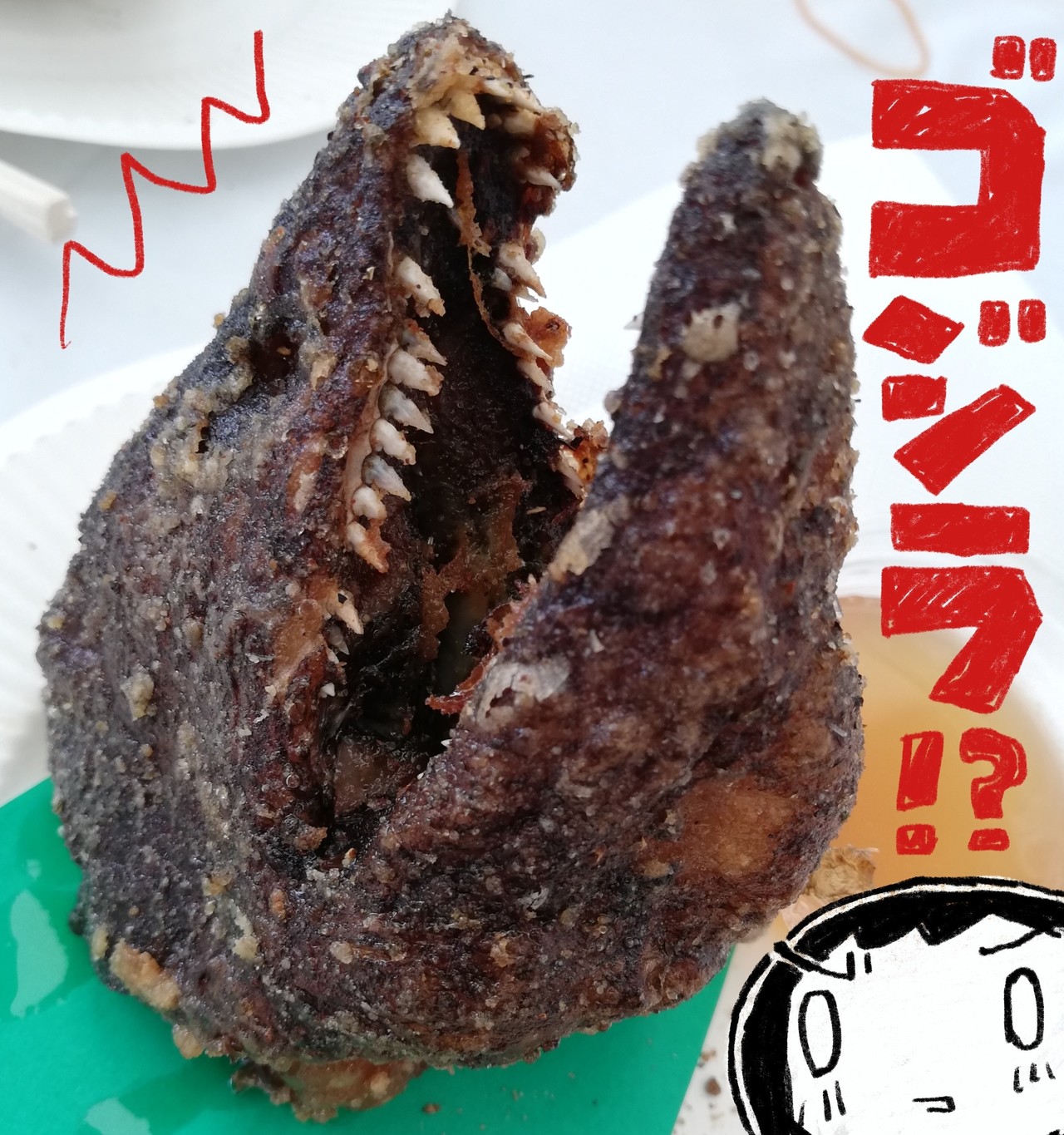 活動歴および当時の関連ビジュアル記録