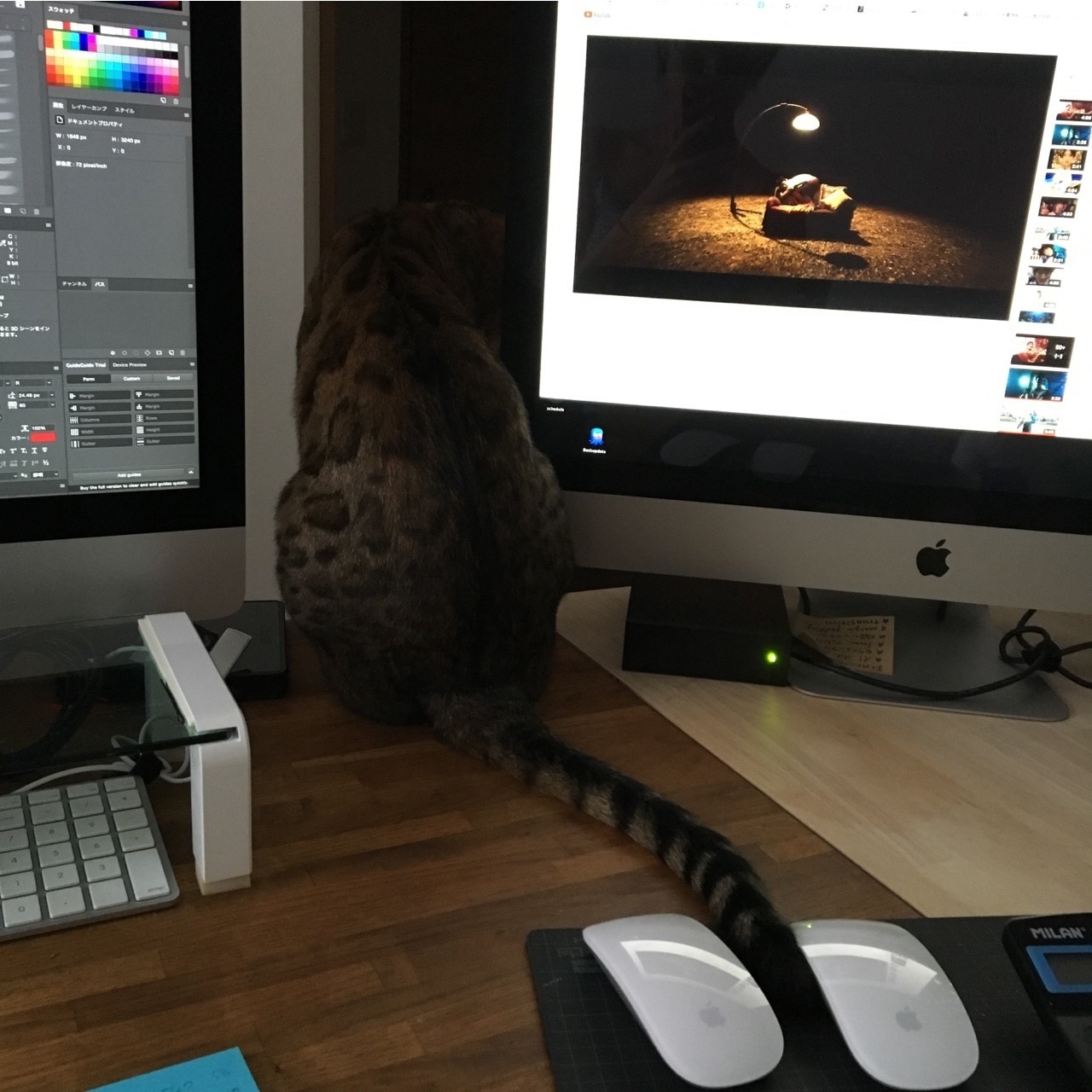 優雅 仕事 ひとり ぼっ ち 新しいダウンロード画像