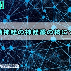 綺麗なモノ ジ トリ テトラ 覚え方 ただのディズニー画像