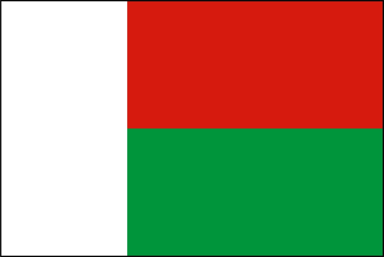 心に強く訴えるマダガスカル の 国旗 美しい花の画像