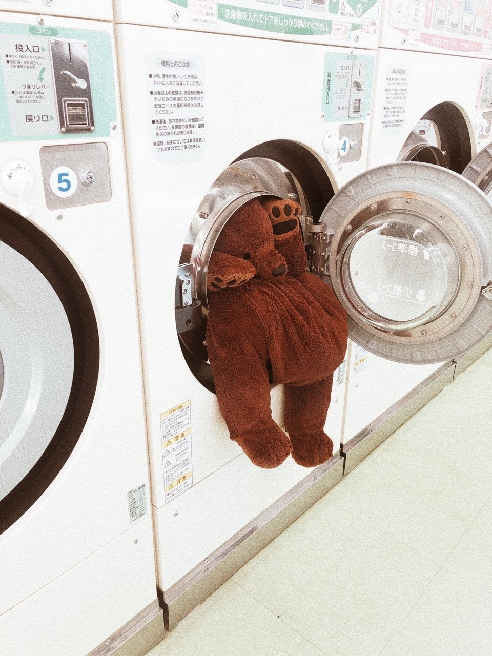 クマの洗濯 新年 日向が来た アサノ Note