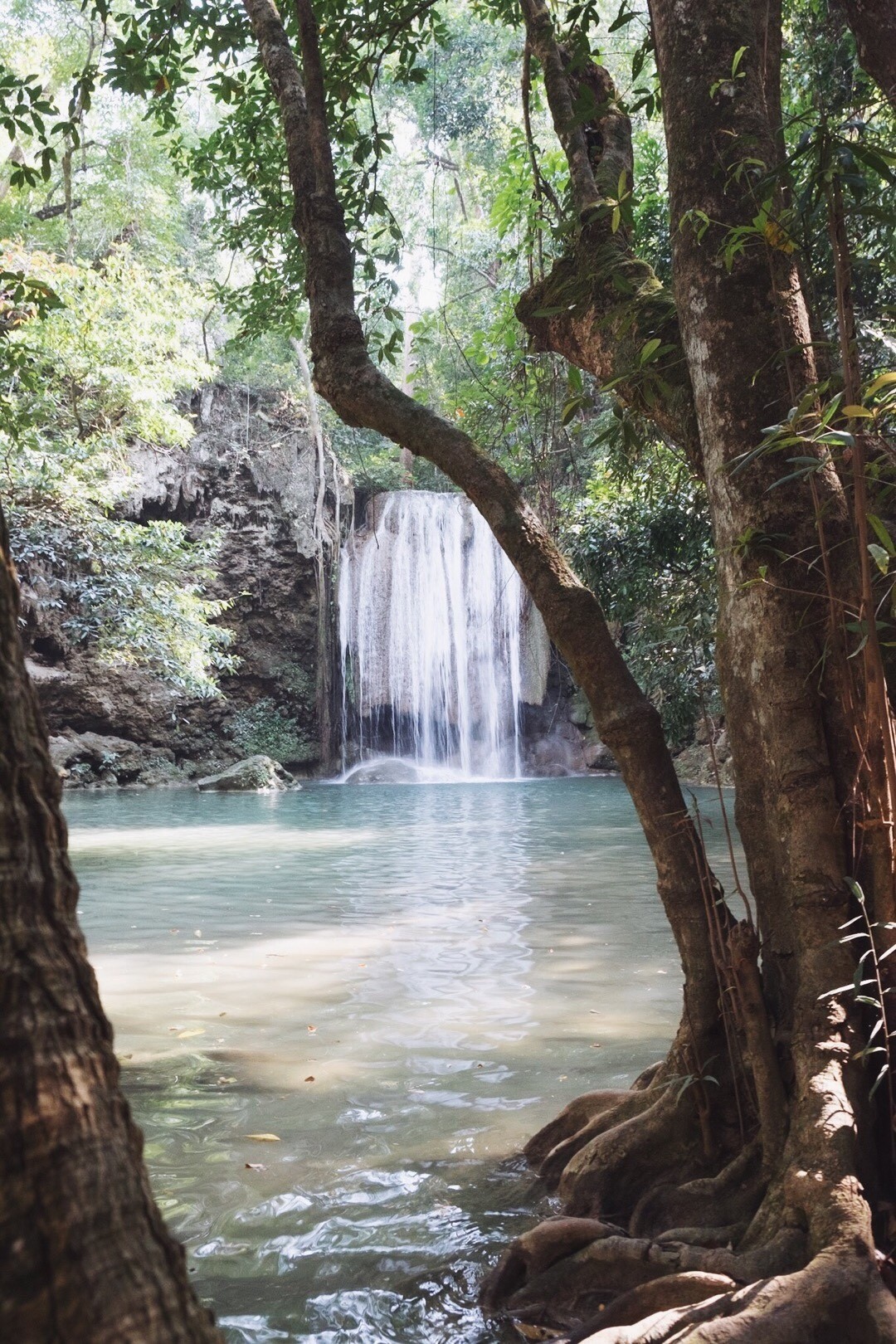 巨大なドクターフィッシュのいる滝壺で泳ぐ エラワンの滝が面白い ヤマナカ Note