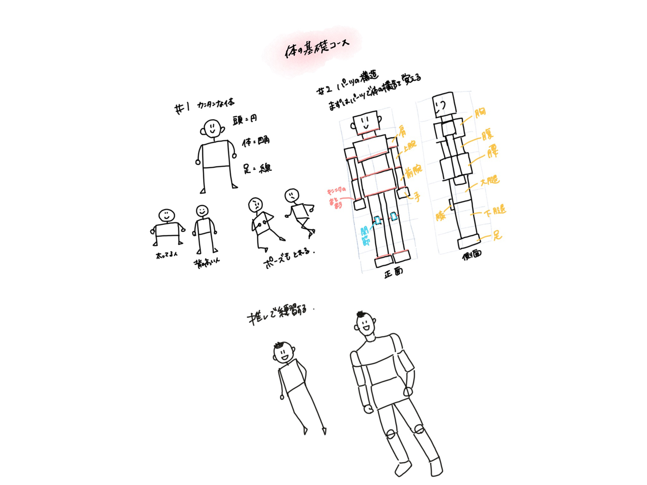 イラスト練習 簡単に体を書いてみる まつい まこ Note