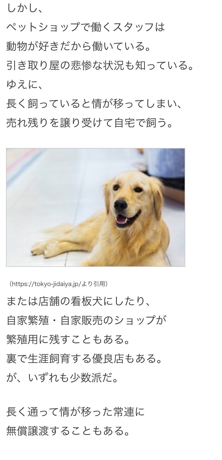 ゴールデン レトリバー 売れ残り ゴールデン レトリバー 売れ残り
