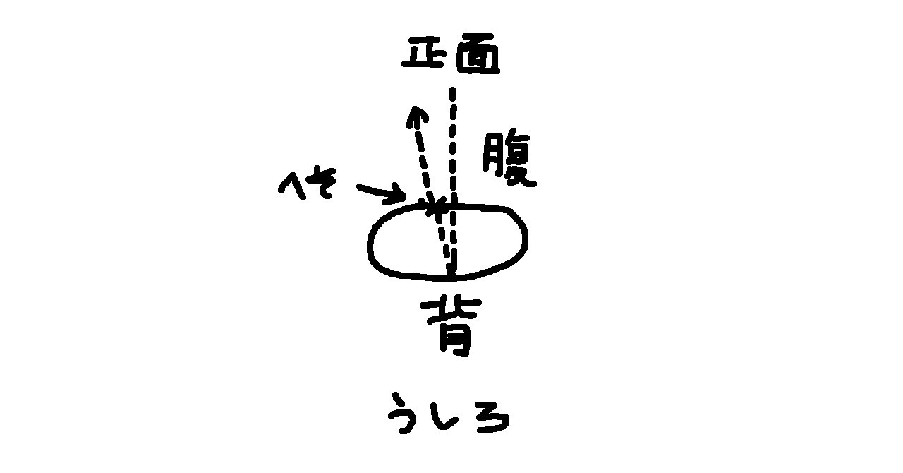 note更新しました：おへそ曲がってる？！とお水のお話