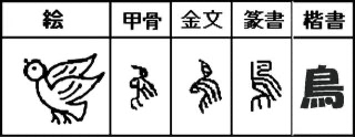 烏 カラス って何が足りないの まんきち Note