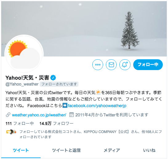 インタビュー Yahoo 天気 災害 担当者さんに聞くtwitter運用とは 前編 野際 Twitterライター Note