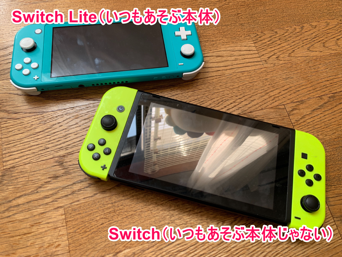 Switch LiteとSwitchを2台持ちする場合に気をつけた方がいいこと｜てっけん｜note