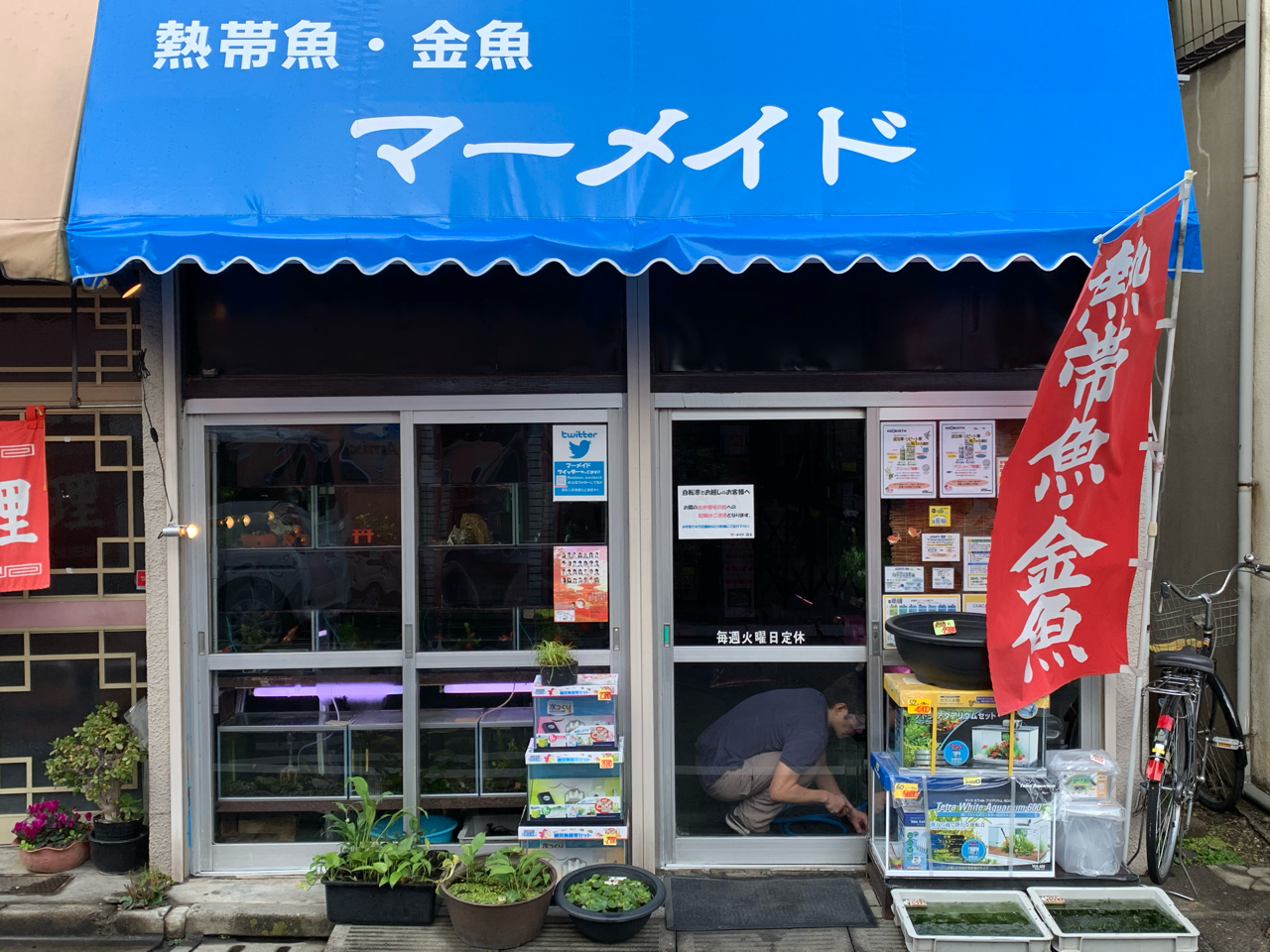 マーメイド 有限会社フィッシュファームツボタ Note